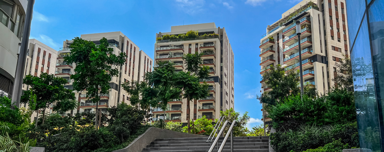 green trees and multi-storey buildings